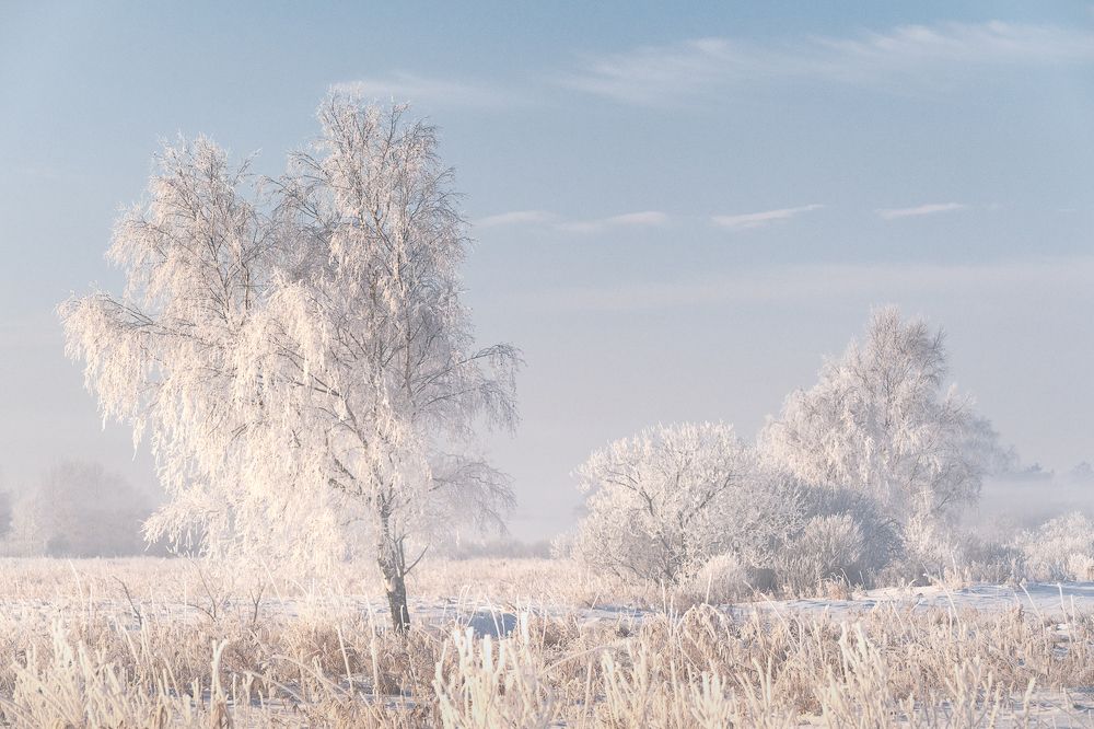 Фотография автора Tomasz Podgórny