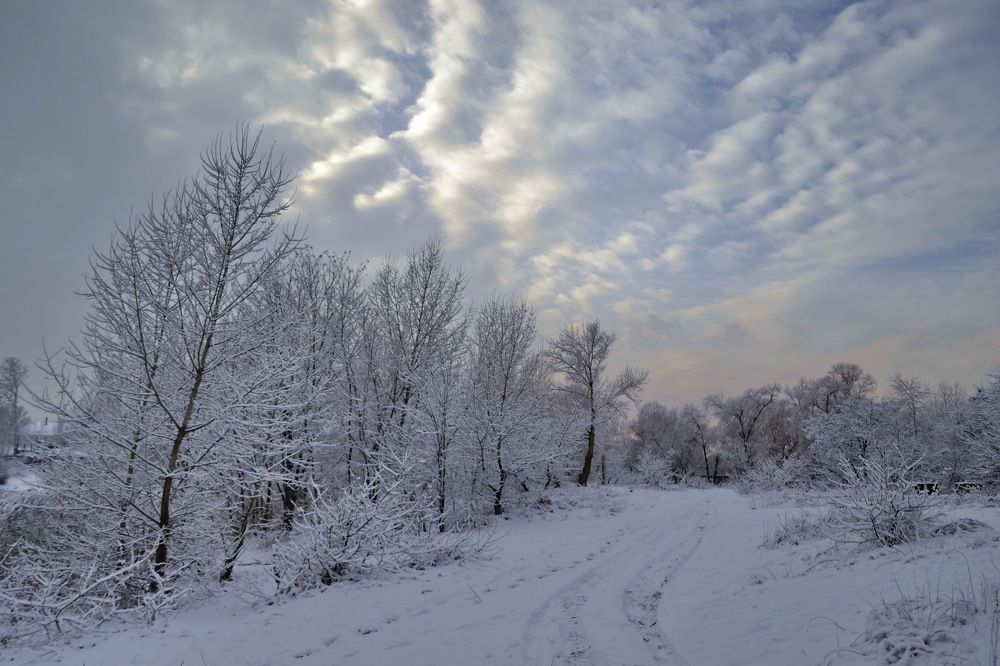 Photograph by Юлия Островская