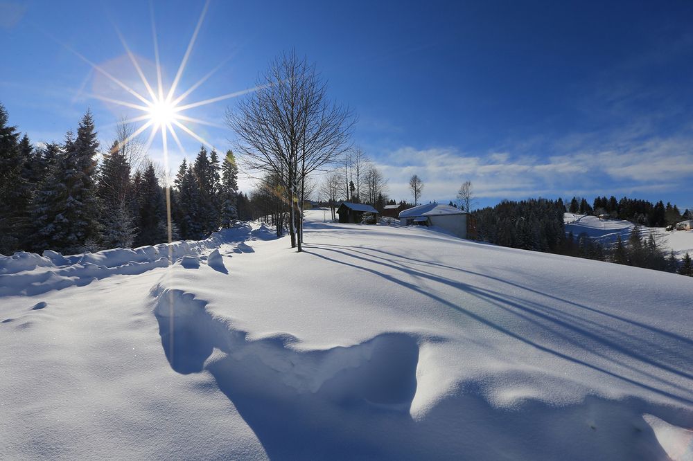 Photograph by Turan Reis