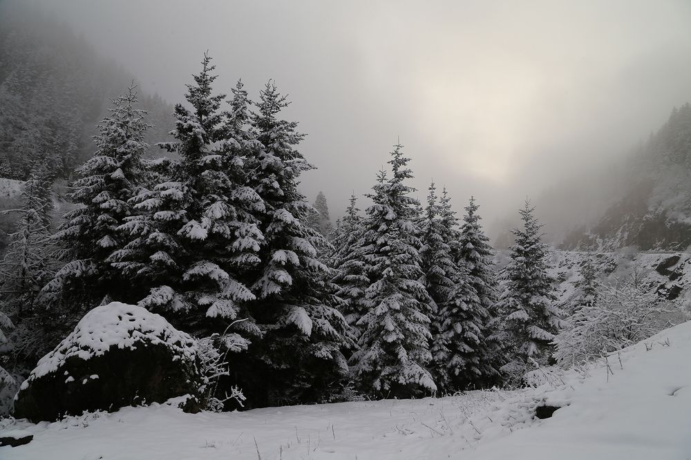 Photograph by Turan Reis