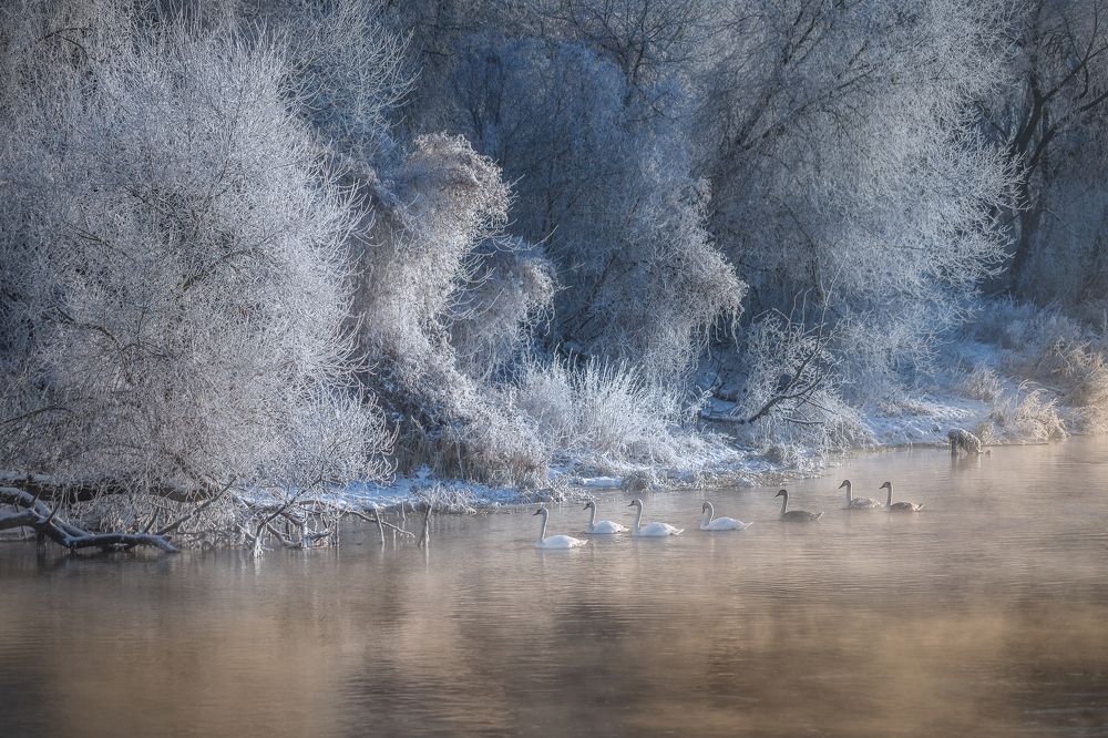 Photograph by Роман Балонкин