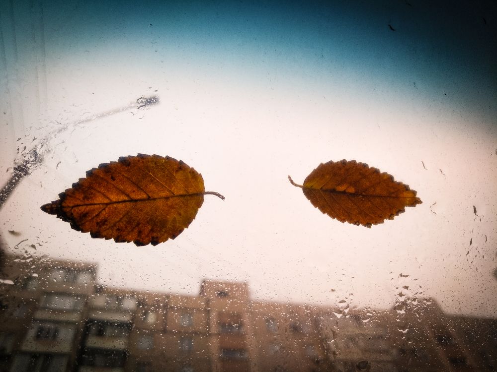 За нами кажется наблюдают...