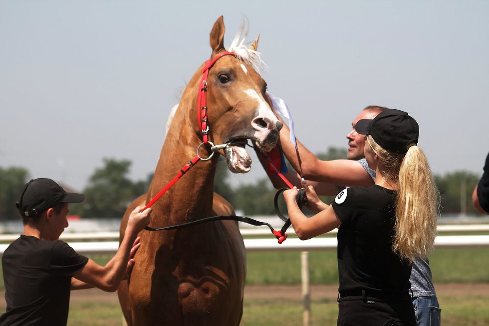 Photograph by Ольга Сельницына