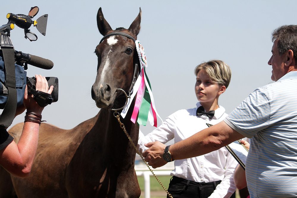 Photograph by Ольга Сельницына