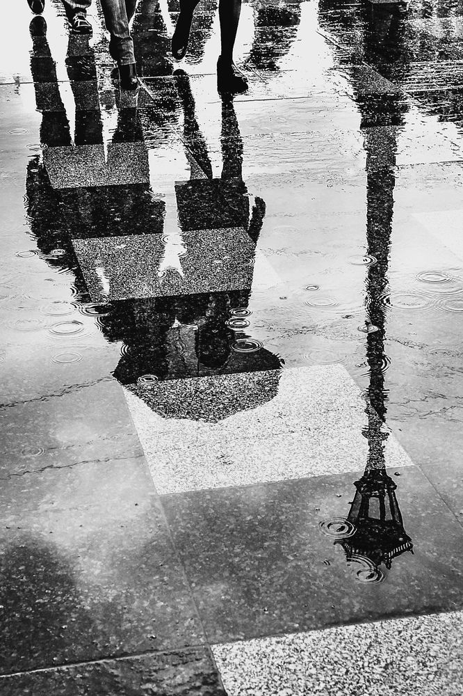 После дождя