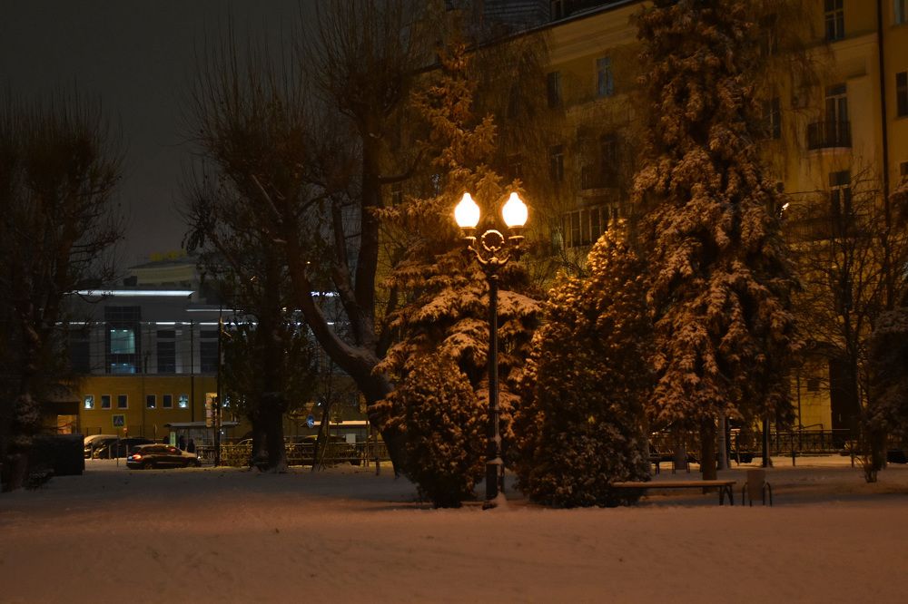 Photograph by Elvira