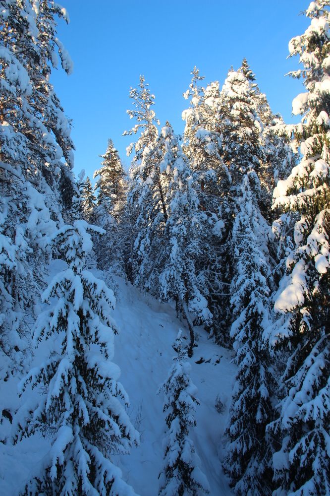 Photograph by Валентина