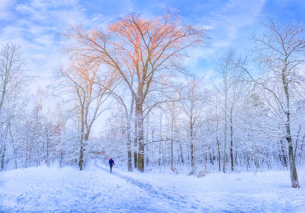 Фотография автора Stas Semashko
