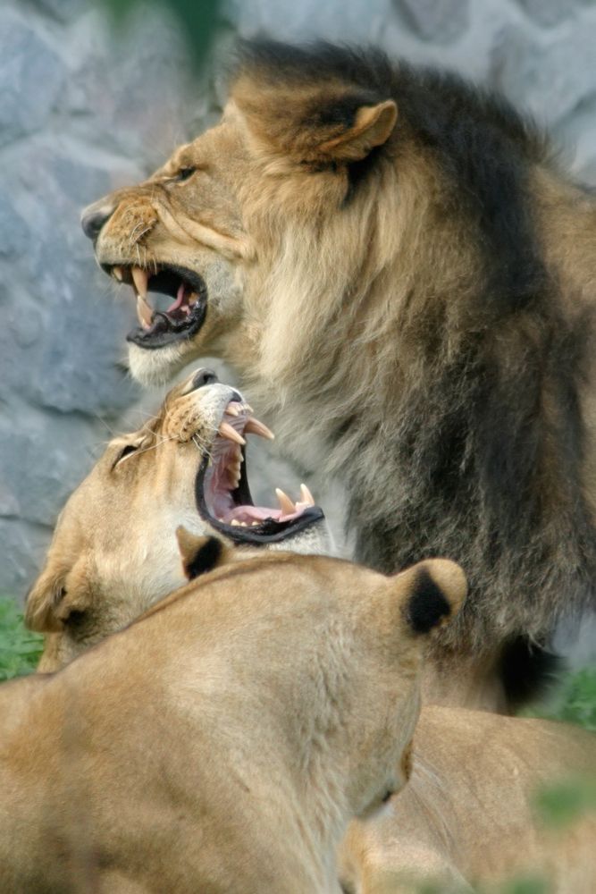 Фотография автора Dmitry Finkel