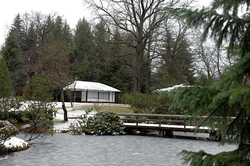 Photograph by Антон Корольков