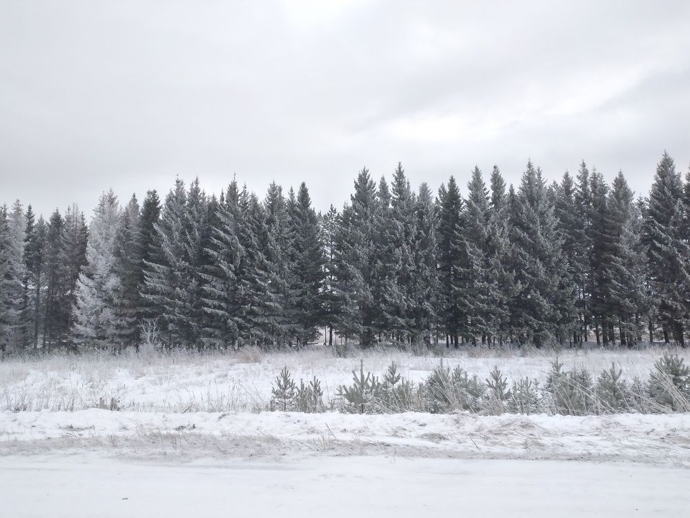 Photograph by София Корепанова