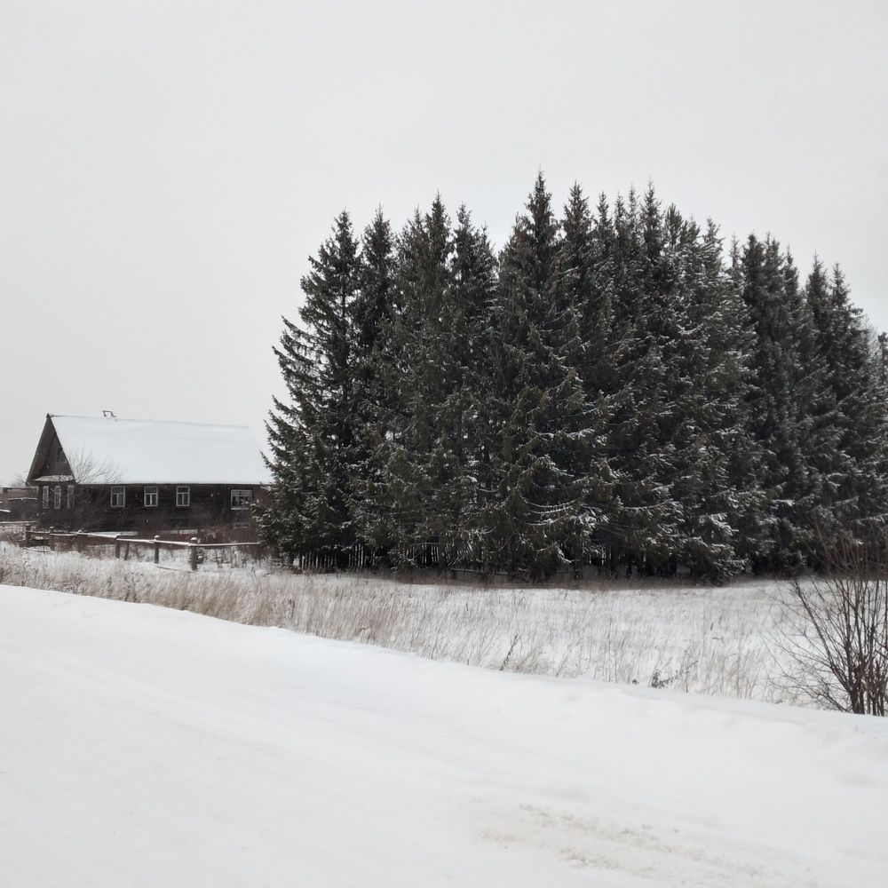 Photo #6942410