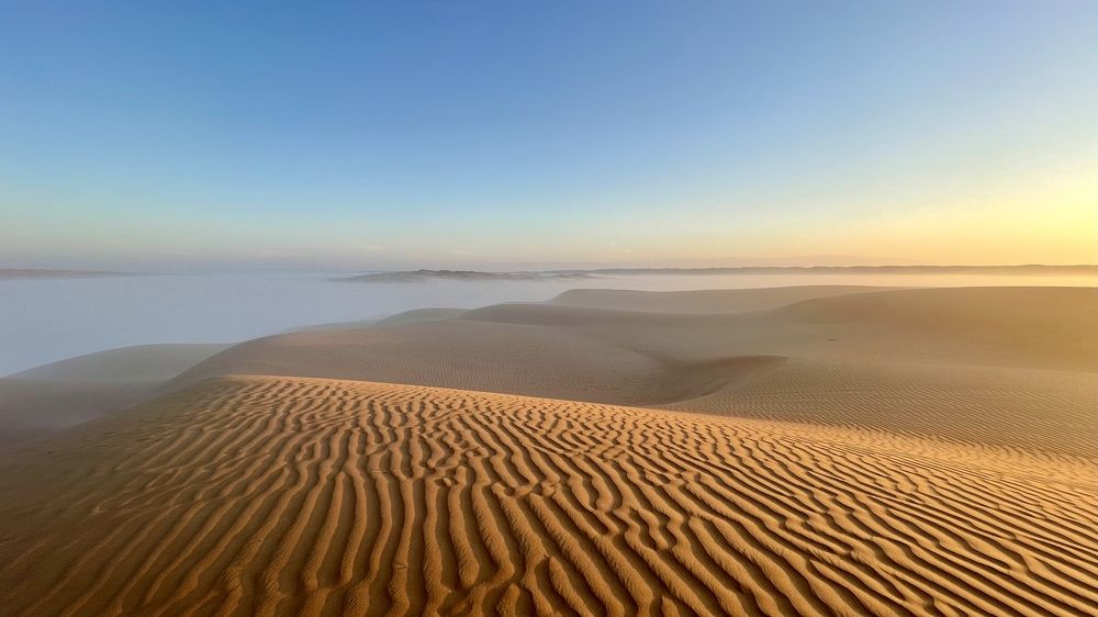 Photograph by Vinesh Kumar Vijayan