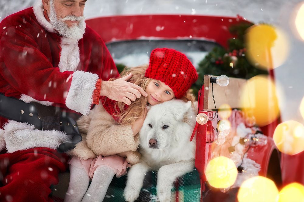 Photograph by Анастасия Чупико