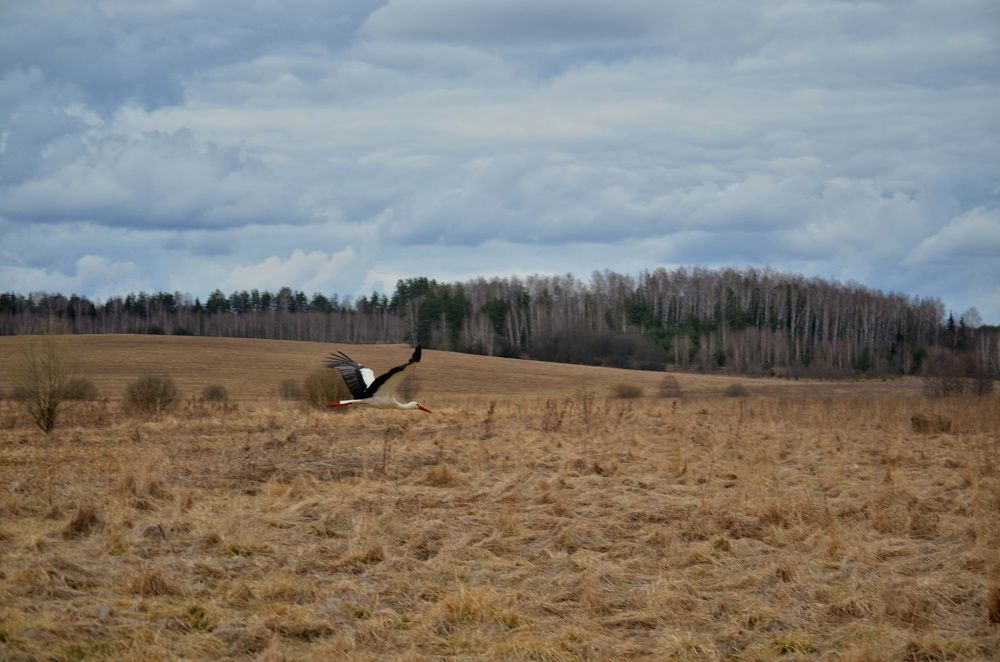 Photograph by Сергей Симаков