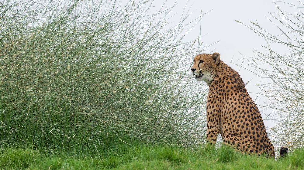 Photograph by Nuwair ALHajeri