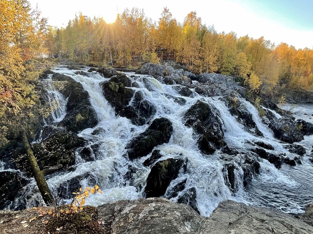Фотография автора Юлия Шумейко