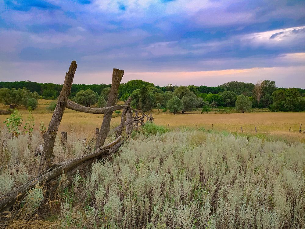 Photograph by Геннадий Глазнев