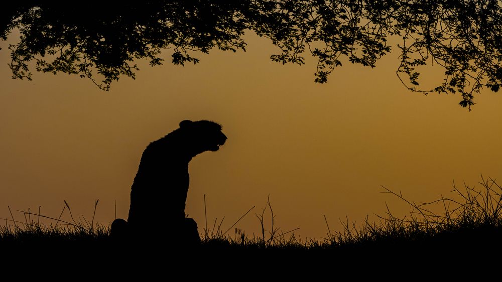 Photograph by Nuwair ALHajeri