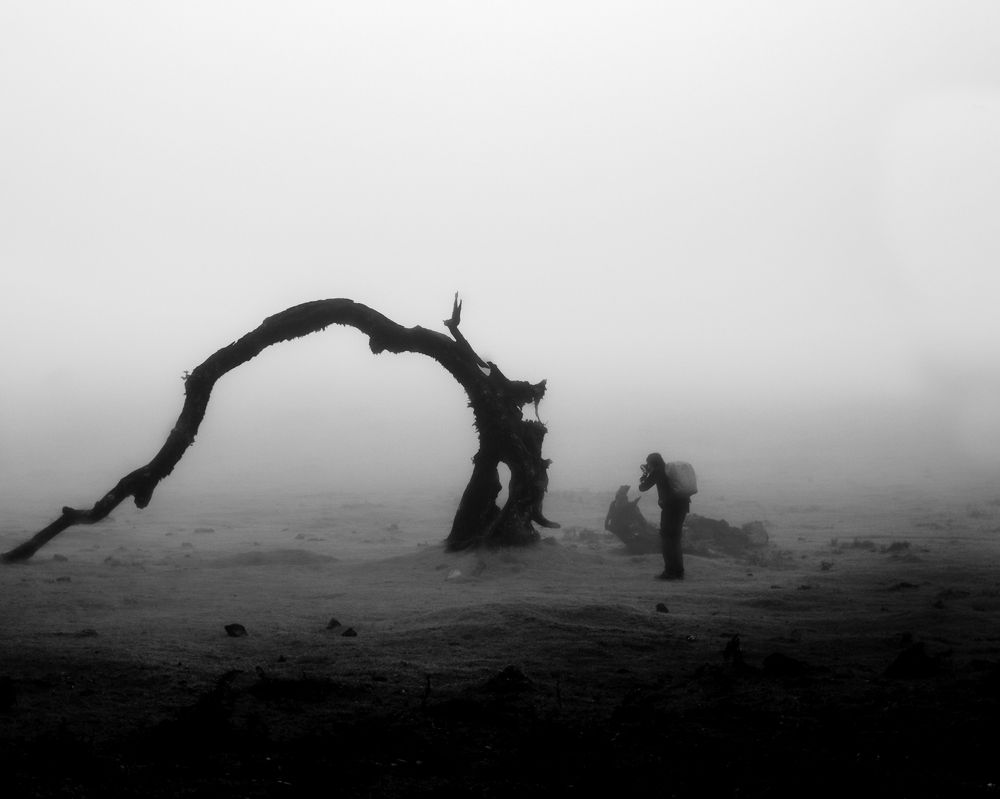 Photograph by Vahid Rostami