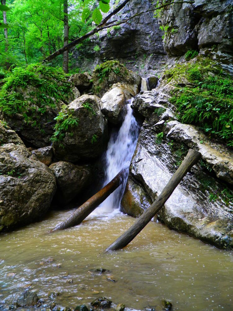 Photograph by Юлия Белая