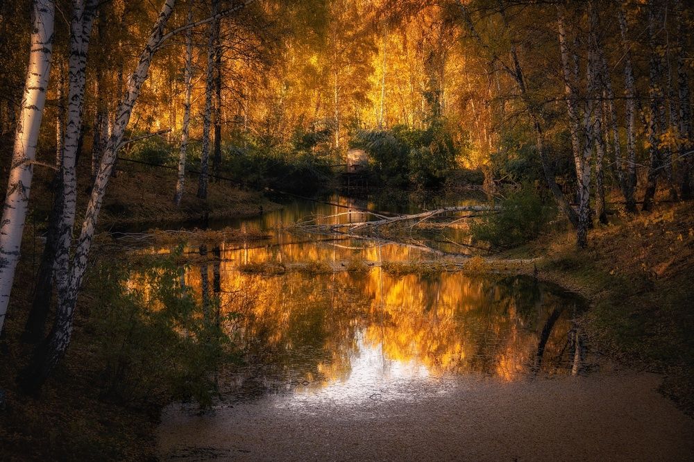 Photograph by Рымаров Александр