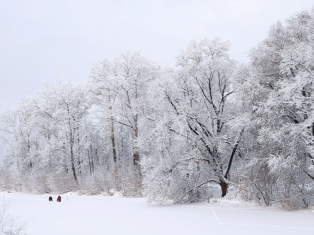 Всё снегом замело....