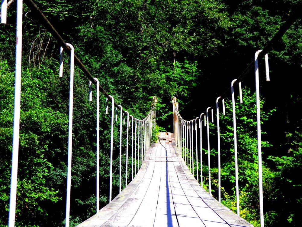 Photograph by Юлия Белая