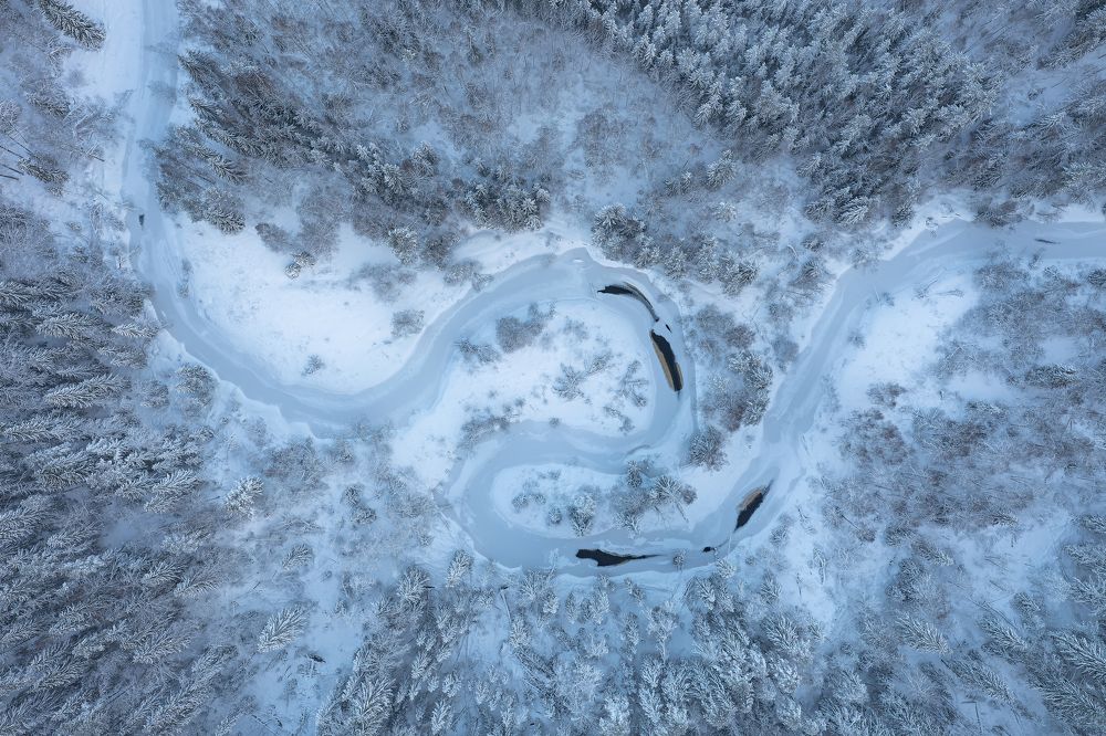 Photograph by Сергей