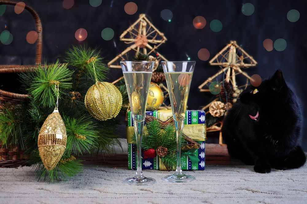 Кошка с бокалами