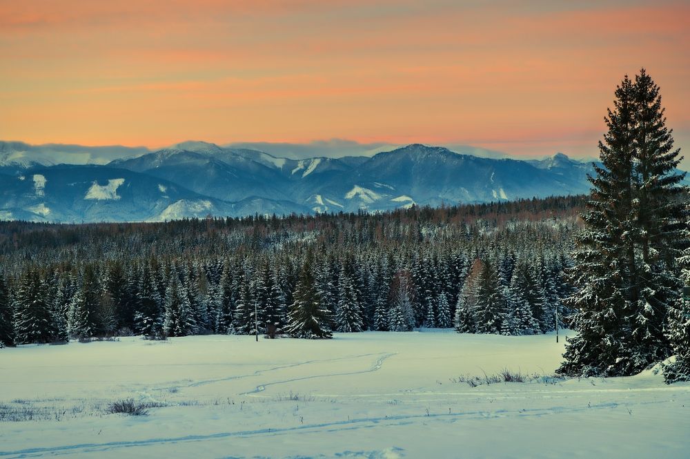 Photograph by Milan Uhrin