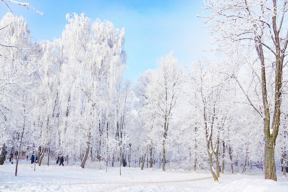 Photograph by Елена Никонова