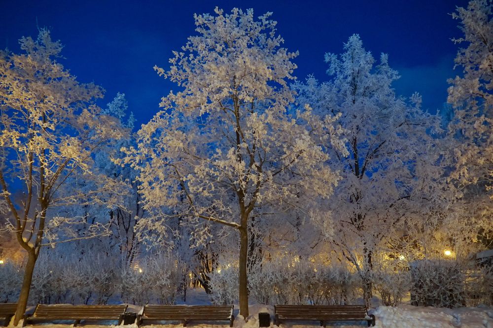 Photograph by Елена Никонова