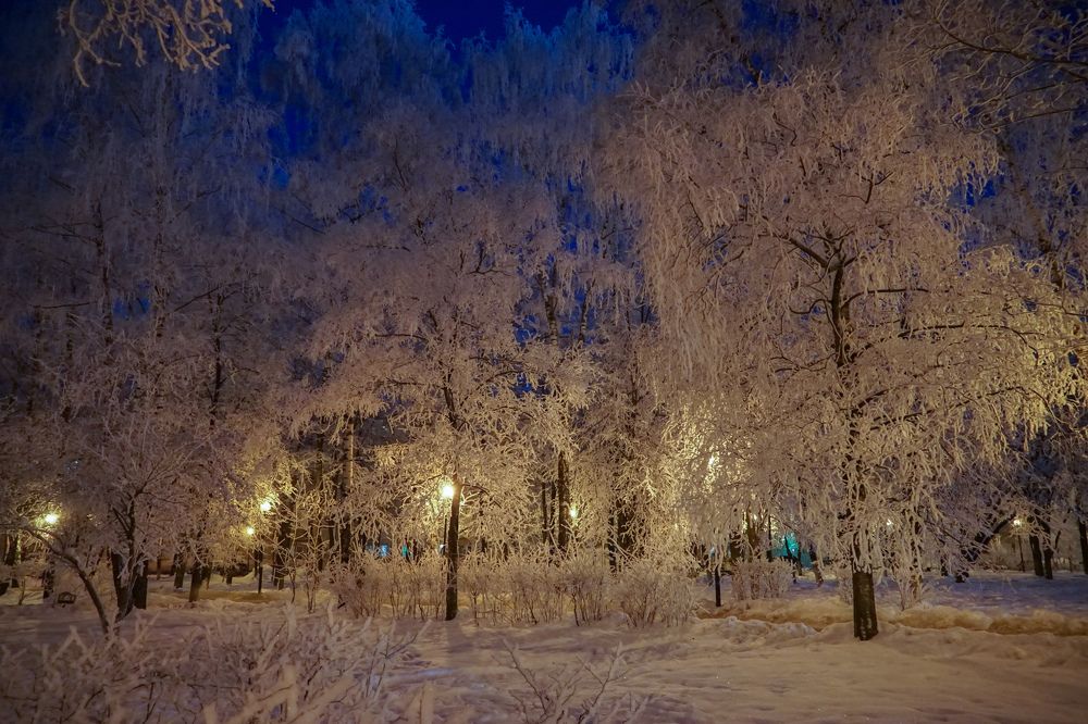 Photograph by Елена Никонова