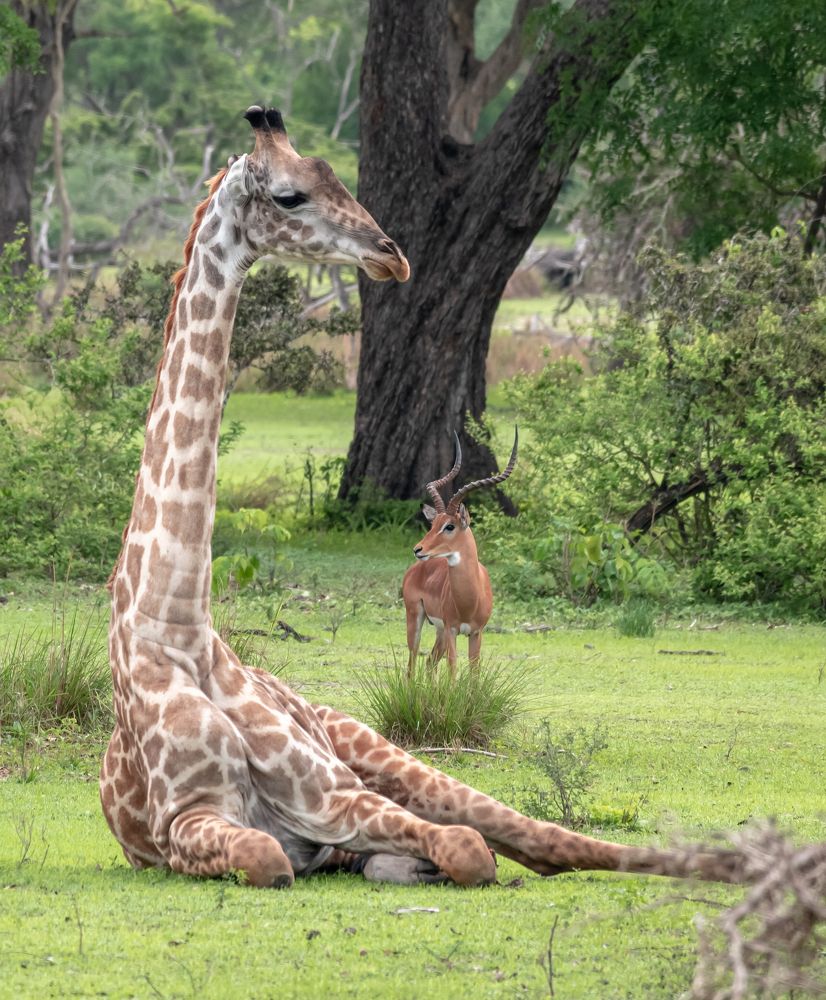 Photograph by Kristiina Stahlberg