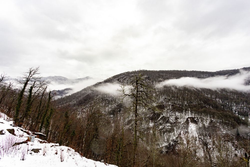 Photograph by Александр Вдовенко
