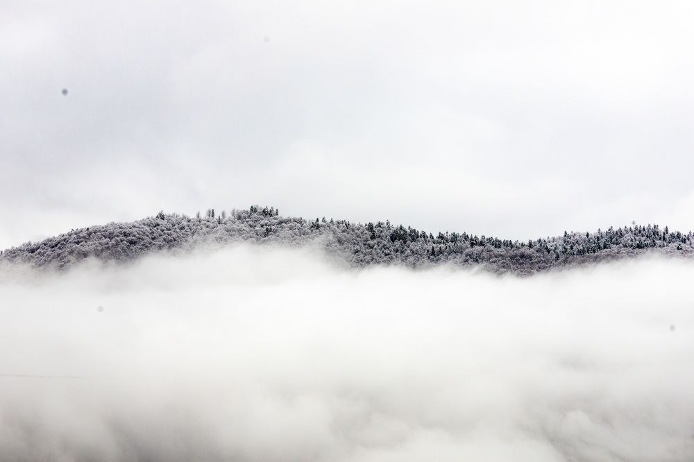 Photograph by Александр Вдовенко