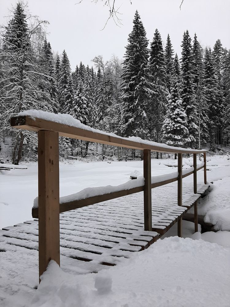 Photograph by Mobigraf