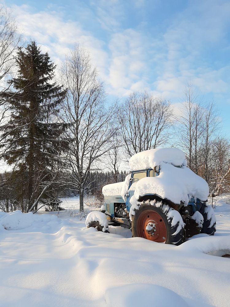 Photograph by Mobigraf