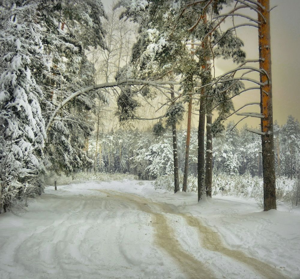 Photograph by Михаил Новиков