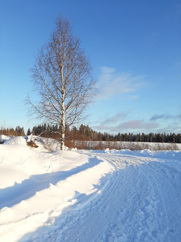 Photograph by Mobigraf