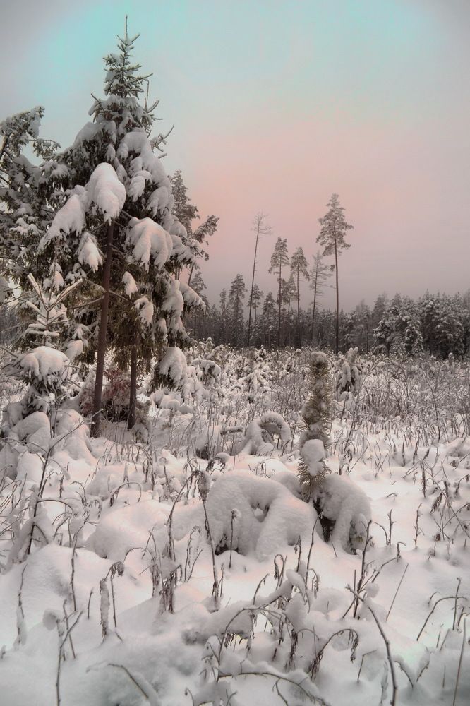 Photograph by Михаил Новиков