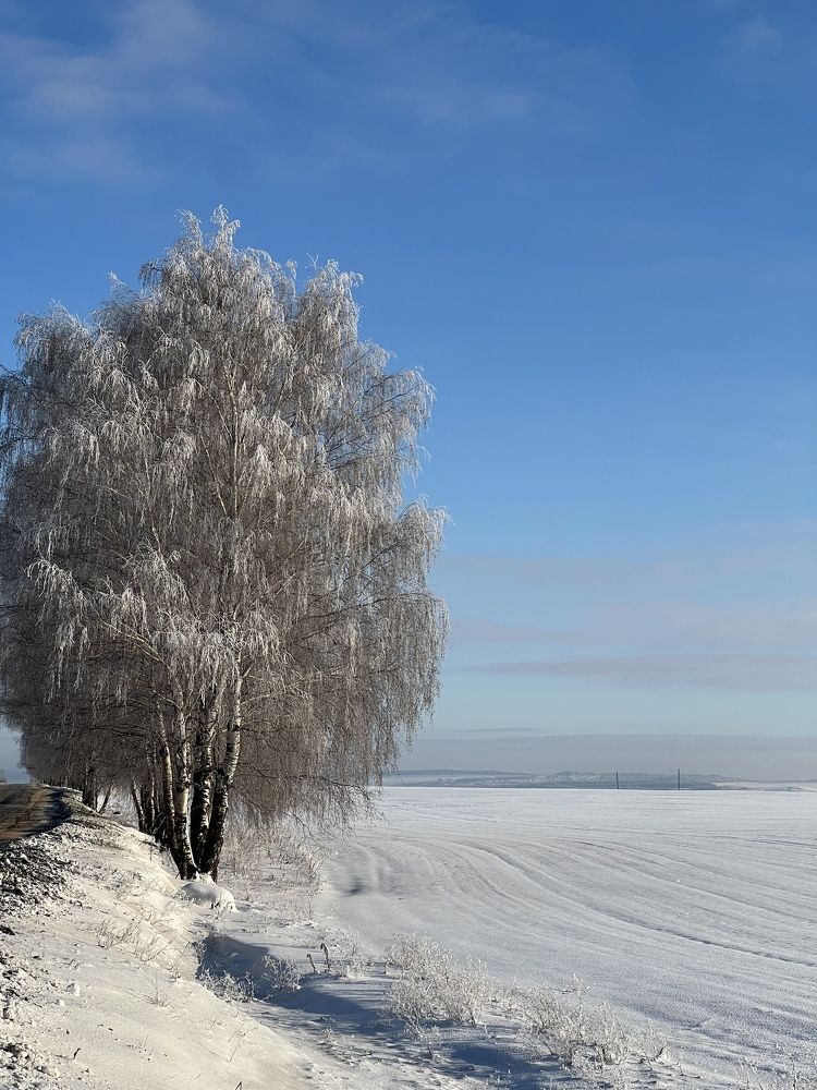 Photograph by Елена Сиушова