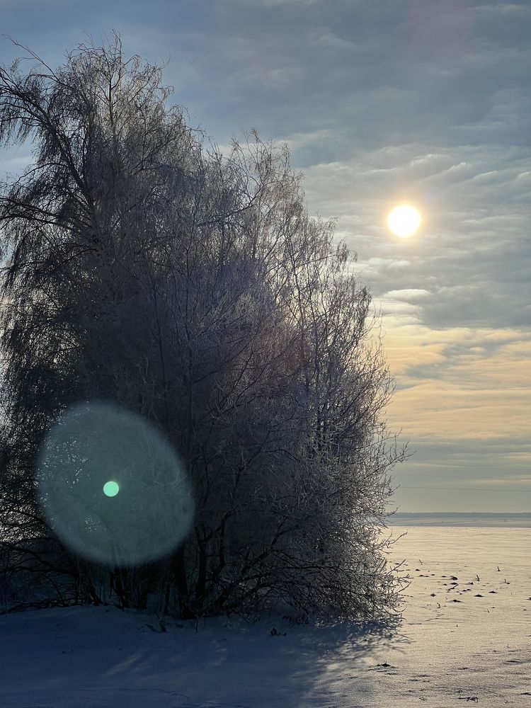 Photograph by Елена Сиушова