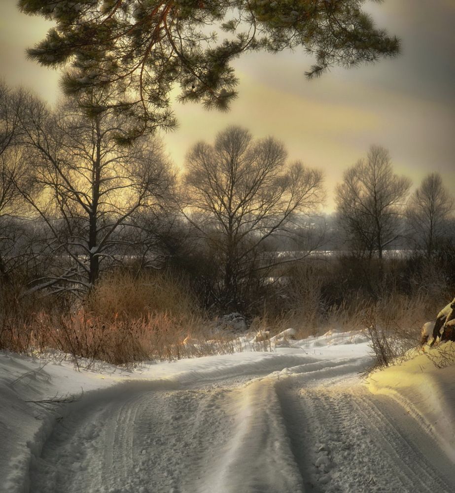 Photograph by Михаил Новиков