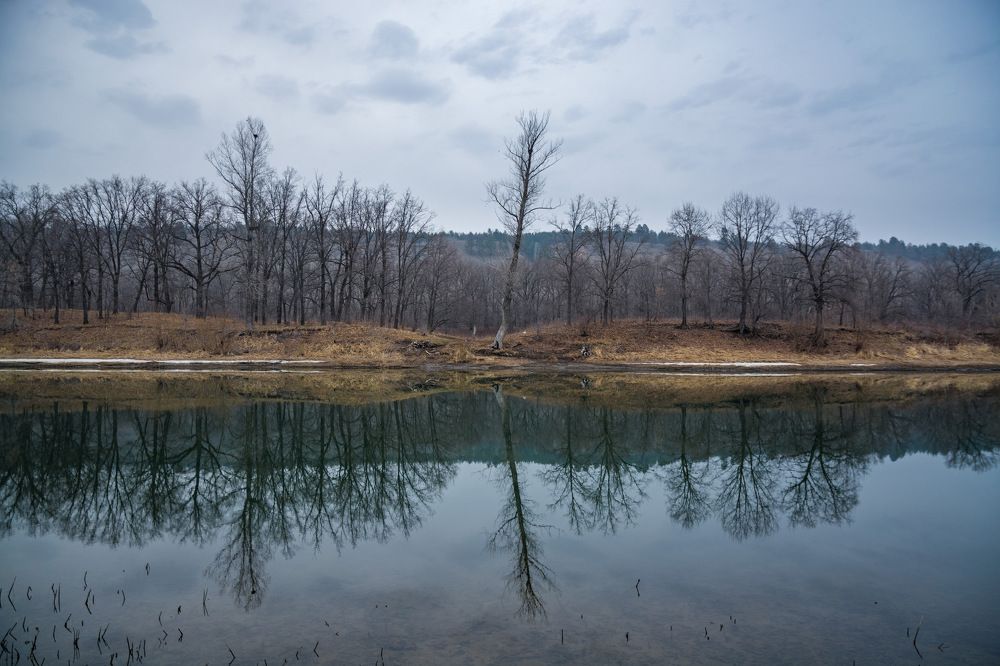 Photograph by Александр Ярков