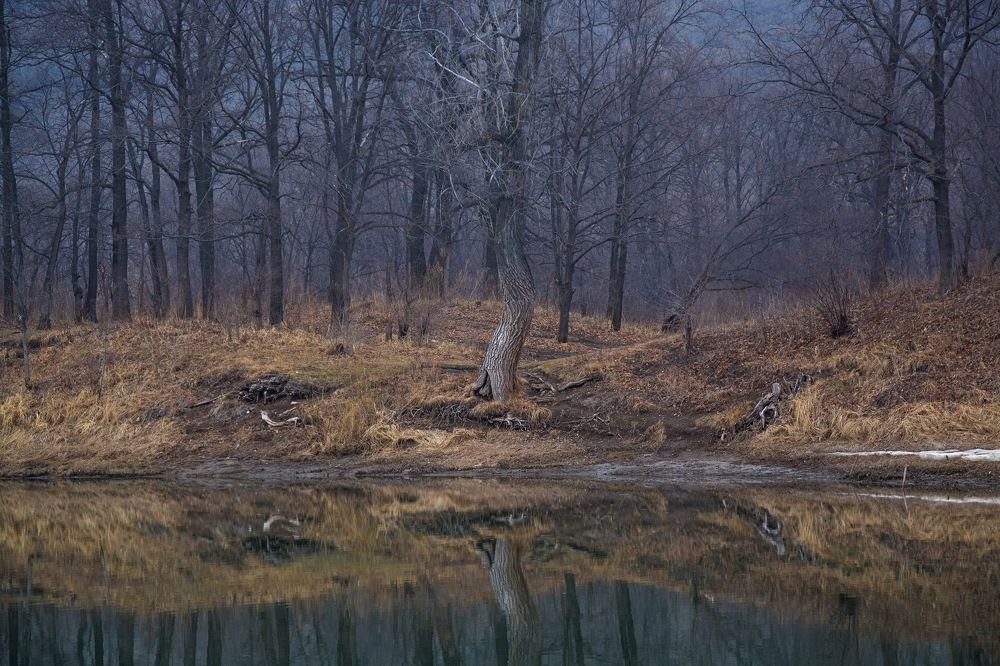 Photograph by Александр Ярков