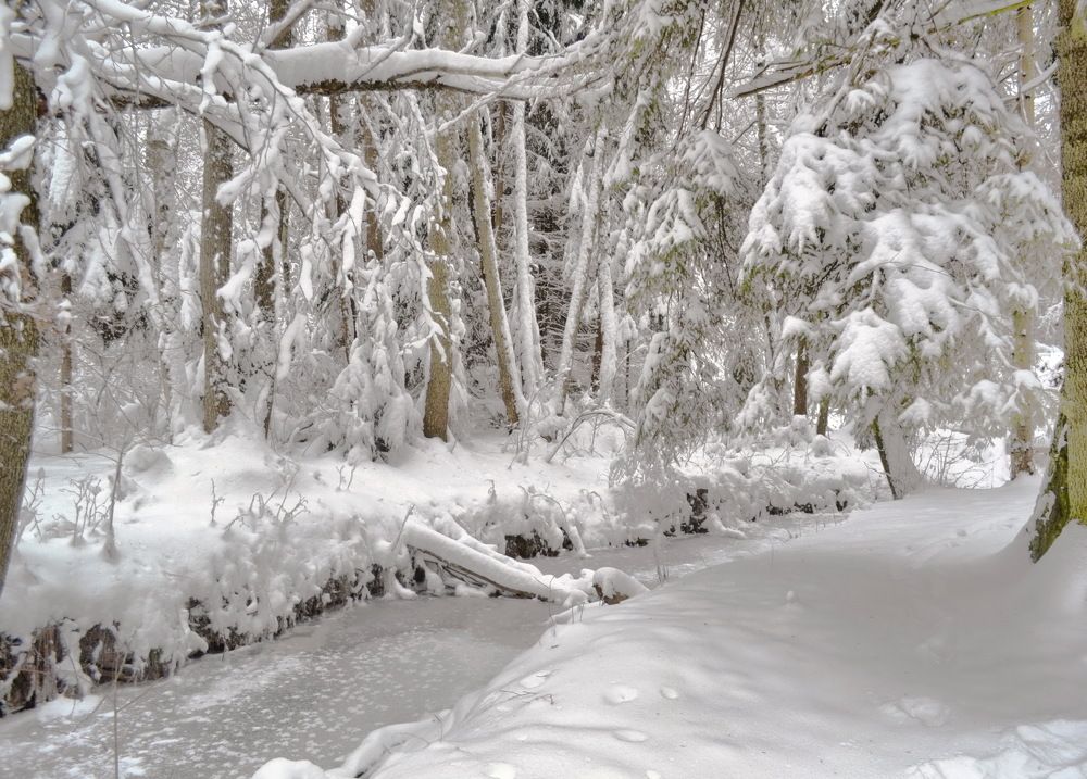 Photograph by Михаил Новиков