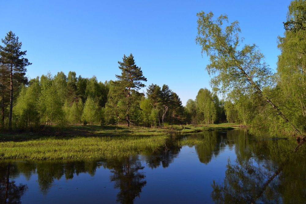 Photograph by Михаил Новиков