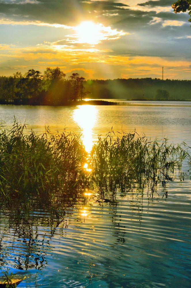 Photograph by Михаил Новиков